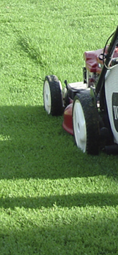 local eugene oregon mowing service, mowing guy, landscaper, lawn service, weed contral grass mowing and pressure washing